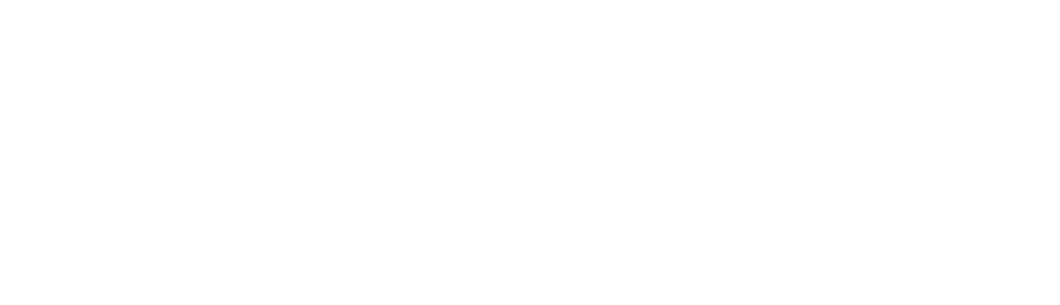 RazinSoft Blog